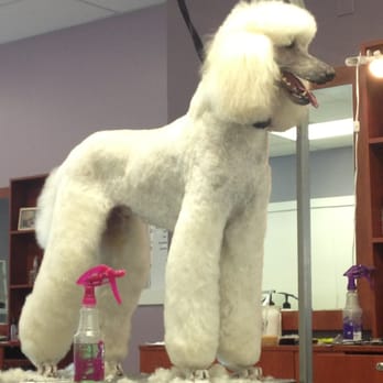 Feldspar Pet Spa - Pet Groomers Near Me - Davis, California Feldspar Pet Spa - Pet Groomers Near Me - Davis, California