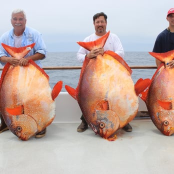 Excel Long Range Sportfishing - OPAH! - Fishing Near Me - San Diego, California Excel Long Range Sportfishing - OPAH! - Fishing Near Me - San Diego, California