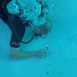 American Leak Detection of Western Washington