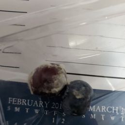 Moldy blueberries...yech!