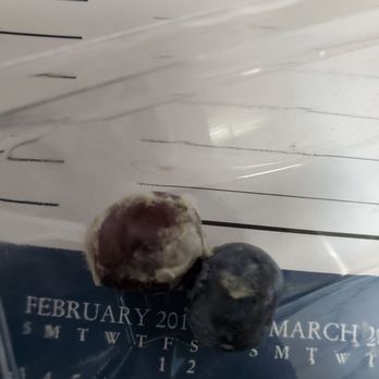 Starbucks - Moldy blueberries...yech! - Coffee & Tea Near Me - Scottsdale, Arizona