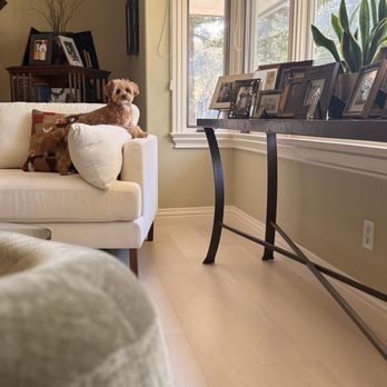 Elite Hardwood Flooring - Partial living room image with a bit of the baseboards they expertly removed & reinstalled. - Flooring Near Me - San Mateo, California