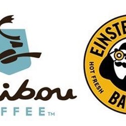 Caribou Coffee - The antlers are a cute insignia for Caribou Coffee.