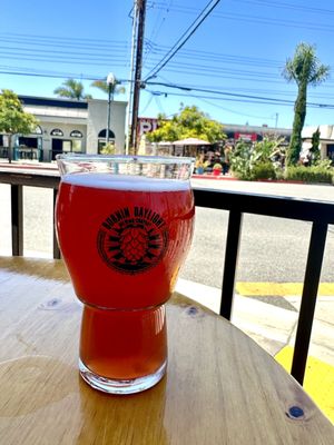 Burnin Daylight Brewing Company by null