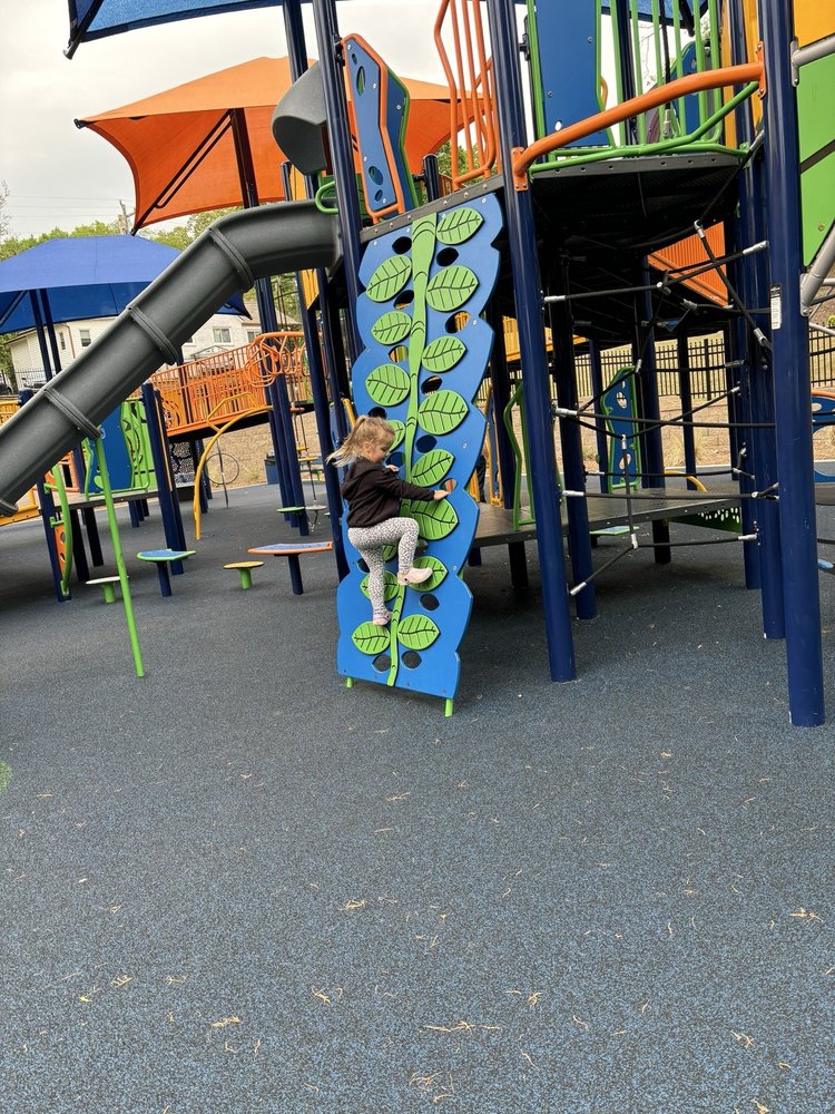 Holding Park Image