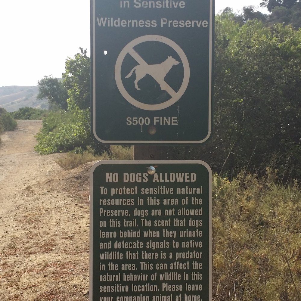 Sycamore Canyon Trail - Don't bring your dog here - Parks Near Me - Whittier, California Sycamore Canyon Trail - Don't bring your dog here - Parks Near Me - Whittier, California