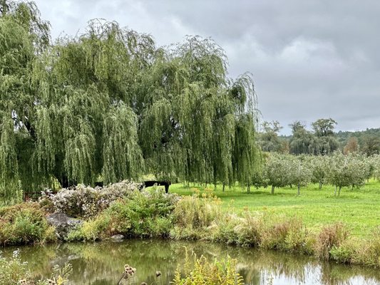 Twin Star Orchards by null