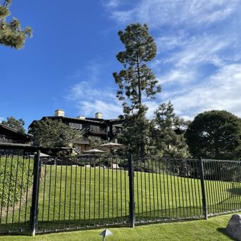 The Lodge at Torrey Pines - Torrey pine near the pool - Hotels Near Me - La Jolla, California The Lodge at Torrey Pines - Torrey pine near the pool - Hotels Near Me - La Jolla, California