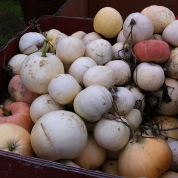 Westham Island Herb Farm - Farmers Market Near Me - Delta, British Columbia