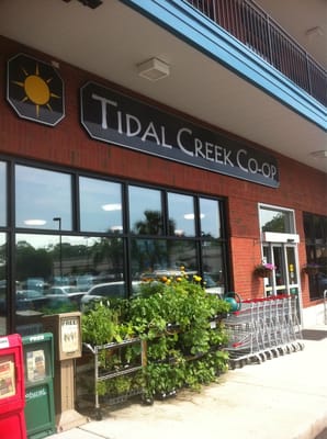 Tidal Creek Co-op by null
