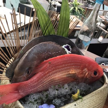 Tora Cancun - The fresh fish on offer - Japanese Near Me - Cancún, ROO Tora Cancun - The fresh fish on offer - Japanese Near Me - Cancún, ROO