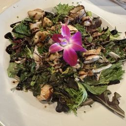 Grilled calamari appetizer Grilled calamari appetizer