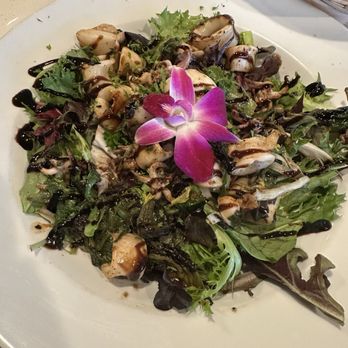 Mona Lisa Cucina - Grilled calamari appetizer - Italian Near Me - Huntington Beach, California Mona Lisa Cucina - Grilled calamari appetizer - Italian Near Me - Huntington Beach, California