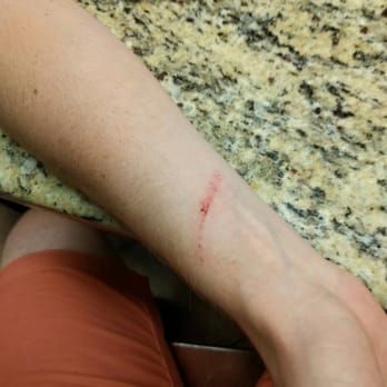 Teasers Pub - Bouncer was extremely rude. Out of state friend with multiple forms of ID was denied entry. Upon being denied bouncer used excessive force - Pubs Near Me - Chicago, Illinois