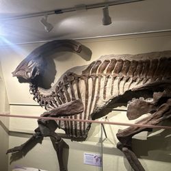 KU Natural History Museum