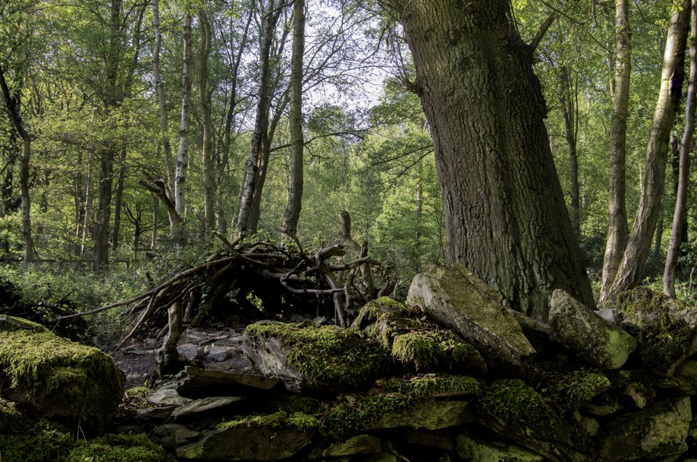 Beacon Hill Country Park