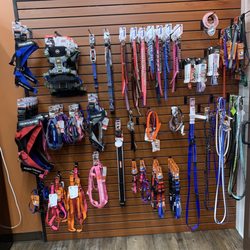 EarthWise Pet Ashland - Collars, Leashes and Harnesses