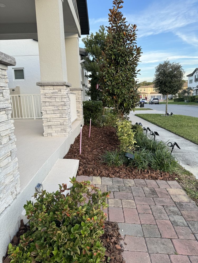 AngelGreen Outdoors - tree service in Apopka, FL