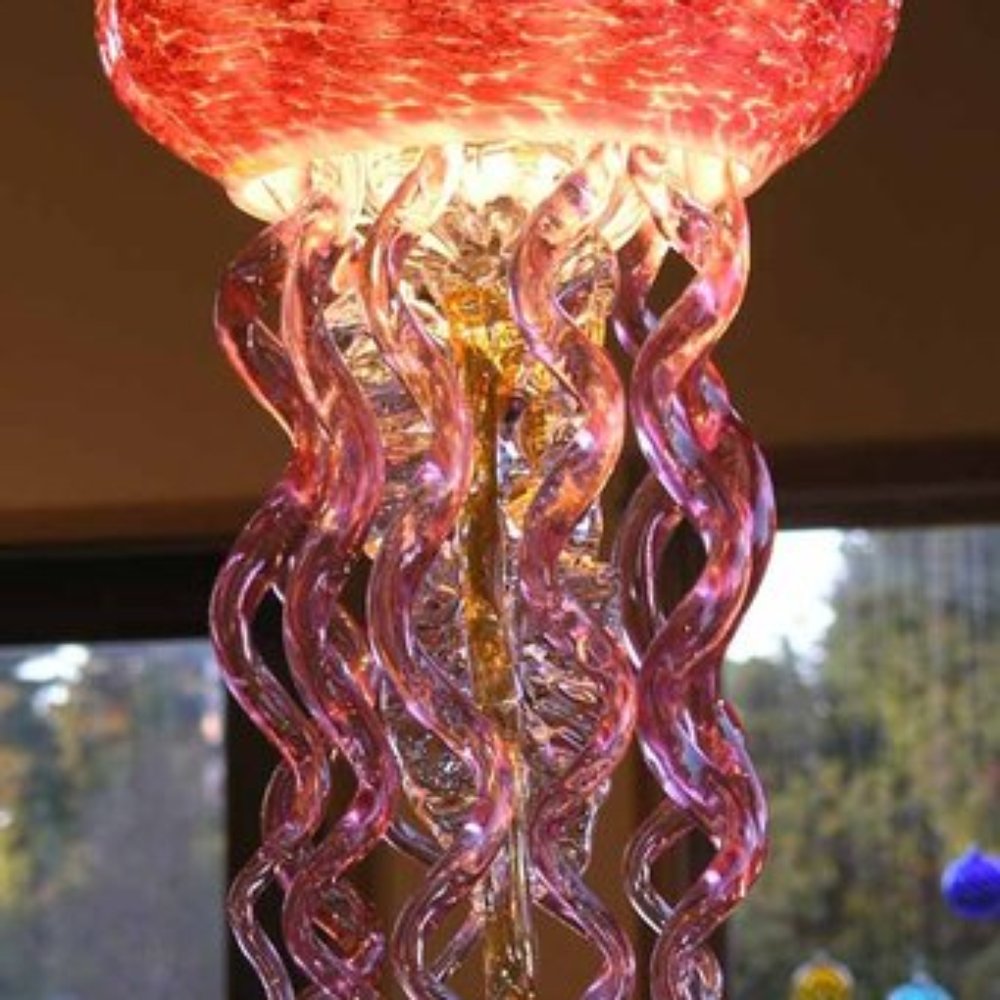 A Huge "Jelly" A Huge "Jelly"