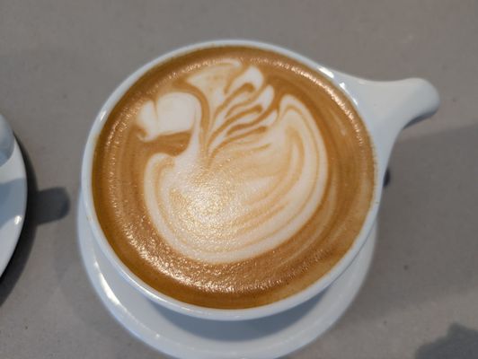 Verve Coffee Roasters by null