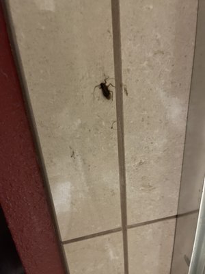 Pahrump Nugget Hotel and Casino by null