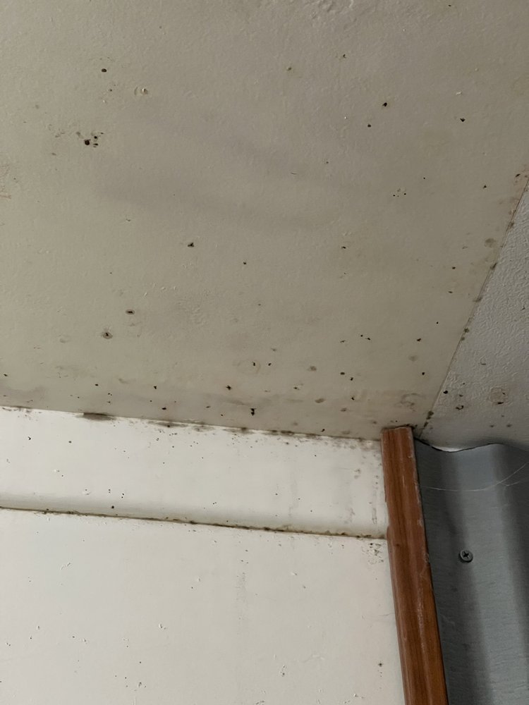 CALIFORNIA PROPERTY SERVICES Updated October 2024 51 Reviews 1200