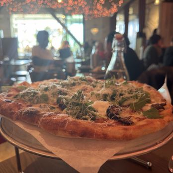 Bar Siena North Shore - Italian Near Me - Skokie, Illinois Bar Siena North Shore - Italian Near Me - Skokie, Illinois