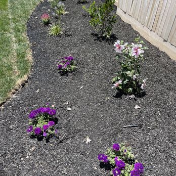 Tellez Landscapes - Landscaping Near Me