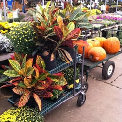 Ellis Home & Garden - Next stop... My front porch!