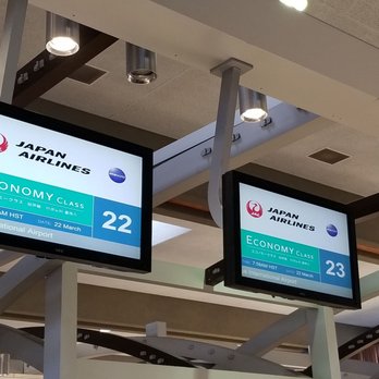 Japan Airlines - Checking in at Lobby 5 of Daniel K. Inouye International Airport in Honolulu - Airlines Near Me - Honolulu, Hawaii Japan Airlines - Checking in at Lobby 5 of Daniel K. Inouye International Airport in Honolulu - Airlines Near Me - Honolulu, Hawaii