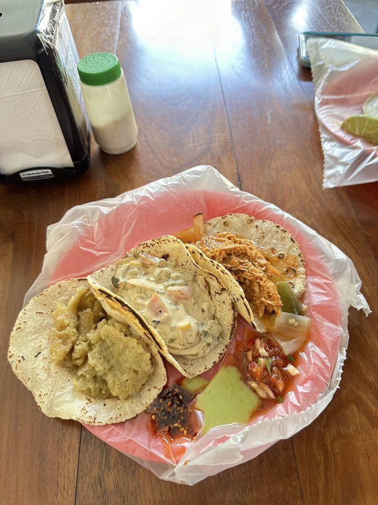 Taqueria El Gato