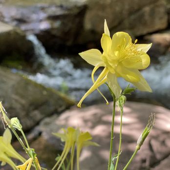 Horton Creek Trail - Water access throughout the four mile one way trail - Hiking Near Me
