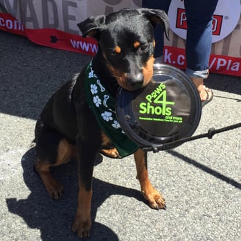 Paws 4 Shots - Veterinarians Near Me Paws 4 Shots - Veterinarians Near Me