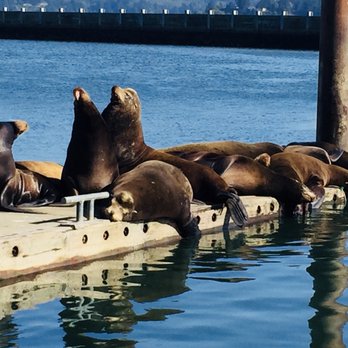 Port Dock Marina - Boating Near Me