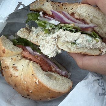 New York Bagels - albacore tuna on an everything bagel - Bagels Near Me - San Diego, California New York Bagels - albacore tuna on an everything bagel - Bagels Near Me - San Diego, California