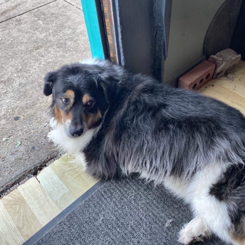 Lile Art Gallery - Lady will greet you...she's so sweet!!! - Art Galleries Near Me - Amarillo, Texas Lile Art Gallery - Lady will greet you...she's so sweet!!! - Art Galleries Near Me - Amarillo, Texas