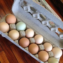 Farm-fresh eggs from our hens -- raised on pasture with organic soy-free feed. Every once in a while, we also have duck and turkey eggs too.