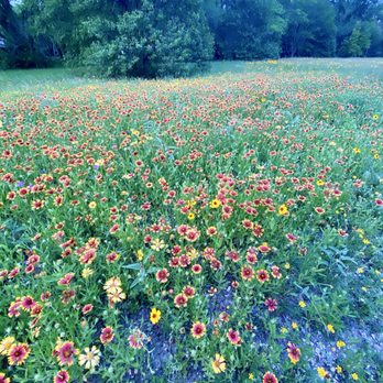 Gilleland Creek Park - Parks Near Me - Pflugerville, Texas