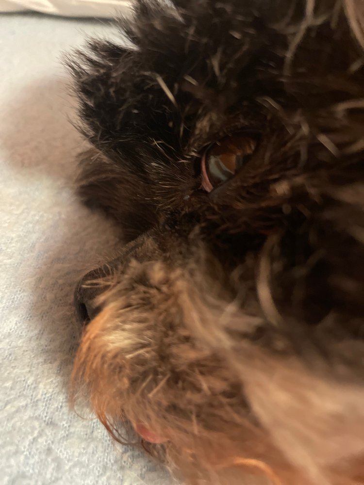 STRIKEZONE BATTING CAGES Updated September 2024 3444 Bowman Ct, Bakersfield, California