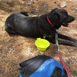 Slate Mountain Trail - Very dog friendly trail. It was a former Jeep trail back in the day, so it has double track in most areas, nice for dogs. Bring water.