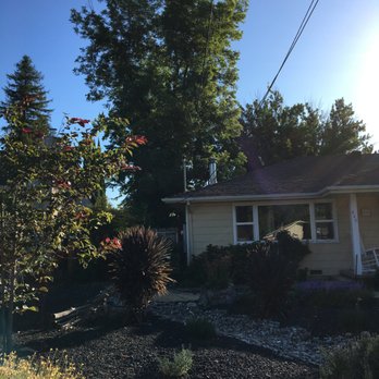 G Tree Service - Removing a pecan tree in Chico,California - Tree Services Near Me