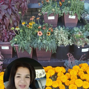 Vons - Beautiful plants - Grocery Near Me - Oxnard, California