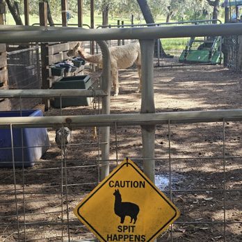 LunaSea Alpaca Farm - Attraction Farms Near Me - Clermont, Florida LunaSea Alpaca Farm - Attraction Farms Near Me - Clermont, Florida