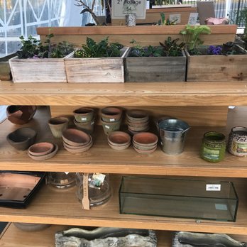 Exotic Plants - Nurseries & Gardening Near Me - Sacramento, California Exotic Plants - Nurseries & Gardening Near Me - Sacramento, California
