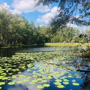 Lake Warren State Park - Parks Near Me - Hampton, South Carolina Lake Warren State Park - Parks Near Me - Hampton, South Carolina