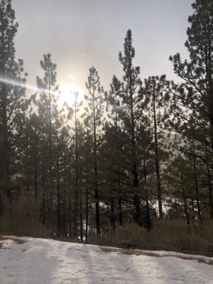 Coddiwomple Cottage by null