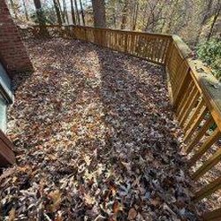 MRO Landscaping - Before & After Fall Cleanup in Danbury, CT