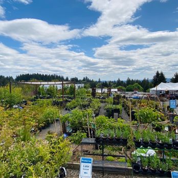 Cornell Farm - Nurseries & Gardening Near Me - Portland, Oregon