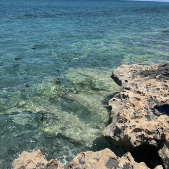 Blowing Rocks Preserve - Beaches Near Me - Hobe Sound, Florida