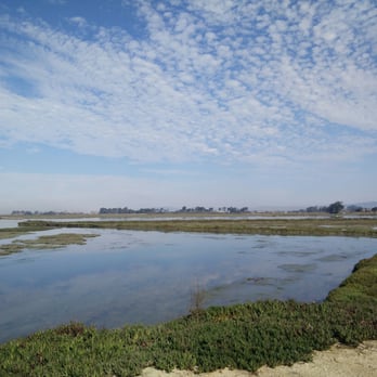 Elkhorn Slough - Parks Near Me - Moss Landing, California